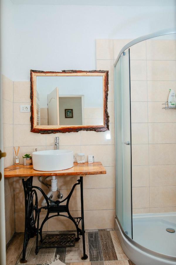 Casa Pe Valea Hartibaciului * Barcut