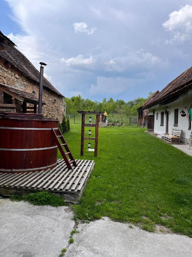 Casa Pe Valea Hartibaciului